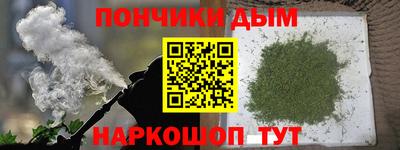 шишки Обнинск