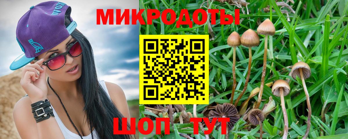 Псилоцибиновые грибы прущие грибы Томск