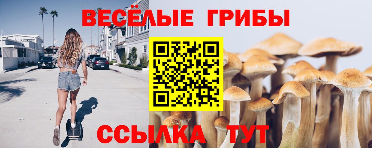 Псилоцибиновые грибы прущие грибы  Вход с VPN  Томск 